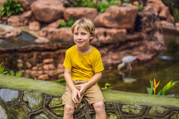 Boy in the birds park. Weekend with kids, fun — Stock Photo, Image