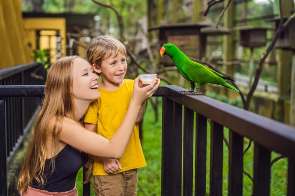 Maman et son fils nourrissent le perroquet dans le parc. Passez du temps avec les enfants concept — Photo