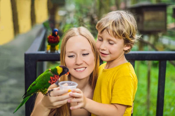Mamma e figlio danno da mangiare al pappagallo nel parco. Trascorrere del tempo con il concetto di bambini — Foto Stock