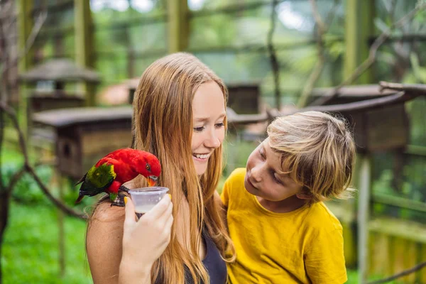 Мама і син канал у парку папуга. Проводити час з дітьми концепції — стокове фото