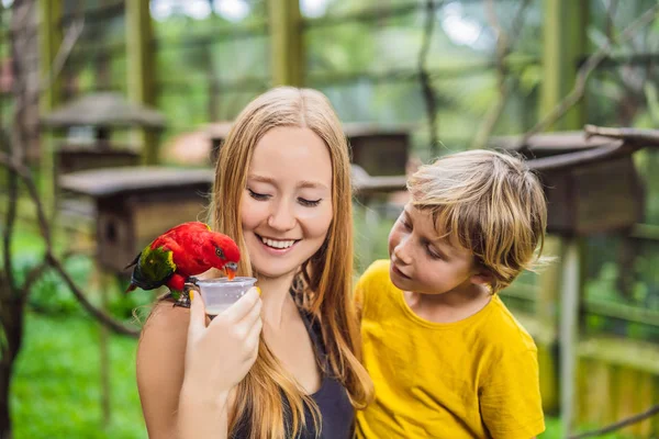 Mamá e hijo alimentan al loro en el parque. Pasar tiempo con el concepto de los niños — Foto de Stock