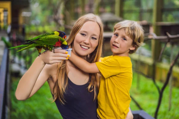 Maman et son fils nourrissent le perroquet dans le parc. Passez du temps avec les enfants concept — Photo