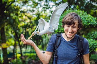Genç adam parkta ibes besleme. Küçük ak balıkçıl sığır balıkçıl Bubulcus Ibis Waters Edge
