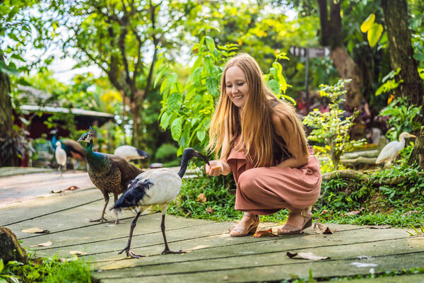 Young woman feeding an African Sacred ibis