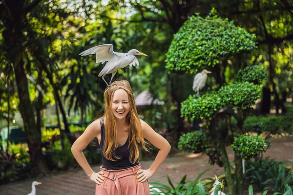 Young woman feeding ibes in the park. Little Egret Cattle egret Bubulcus ibis Waters Edge — Stock Photo, Image