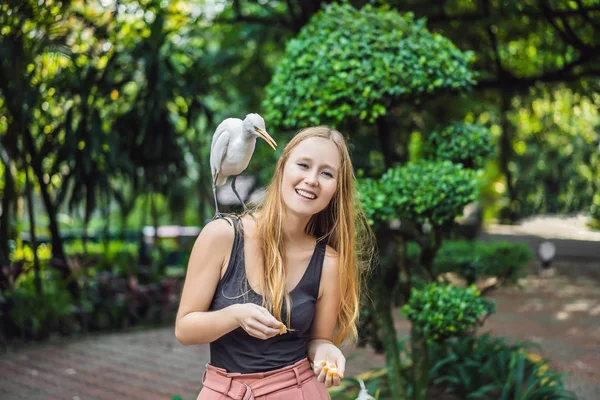 Młoda kobieta karmienia Ibes w parku mieście. Bydło Czapla nadobna Bubulcus ibis Waters Edge — Zdjęcie stockowe