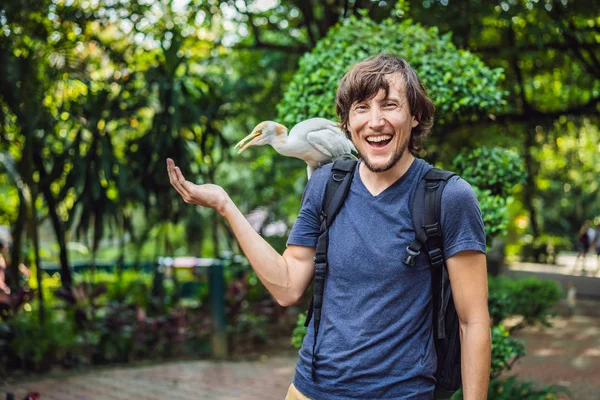 若い男が公園で ibes を供給します。小さな白鷺アマサギ Bubulcus ibis ウォーターズ エッジ — ストック写真