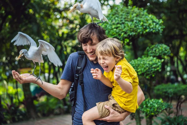 Πατέρας και γιος σίτιση Καραγλάνη στο πάρκο. Λίγο ερωδιός γελαδάρης Bubulcus ibis Waters Edge. Οικογένεια ξοδεύει χρόνο στο πάρκο μαζί — Φωτογραφία Αρχείου