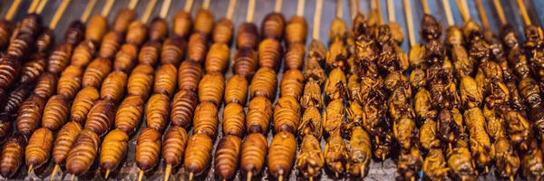 Grill and fried silkworm pupae on stick from Wangfujing street at Beijing, China BANNER, LONG FORMAT — Stock Photo, Image