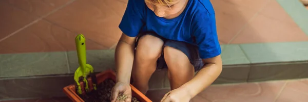 Маленький милий хлопчик сіє насіння в квітковому горщику в саду BANNER, LONG FORMAT — стокове фото