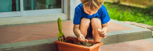 Niño lindo siembra semillas en una maceta en el jardín BANNER, FORMATO LARGO — Foto de Stock