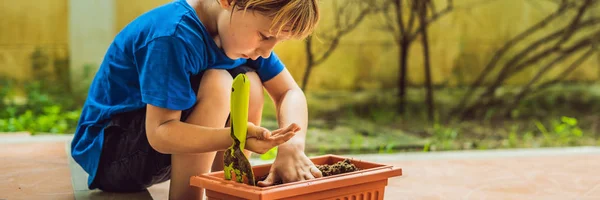 かわいい男の子は 庭の植木鉢に種を蒔きます バナー 長い形式 — ストック写真