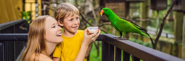 Mom and son feed the parrot in the park. Spending time with kids concept BANNER, LONG FORMAT — Stock Photo, Image
