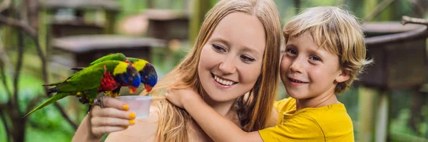 Anne ve oğlu parkta papağan besleme. Çocuklar kavramı afiş, uzun biçim ile vakit — Stok fotoğraf