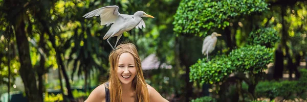 Junge Frau füttert Ibes im Park. Seidenreiher Seidenreiher Bubulcus ibis wässert Randbanner, Langformat — Stockfoto