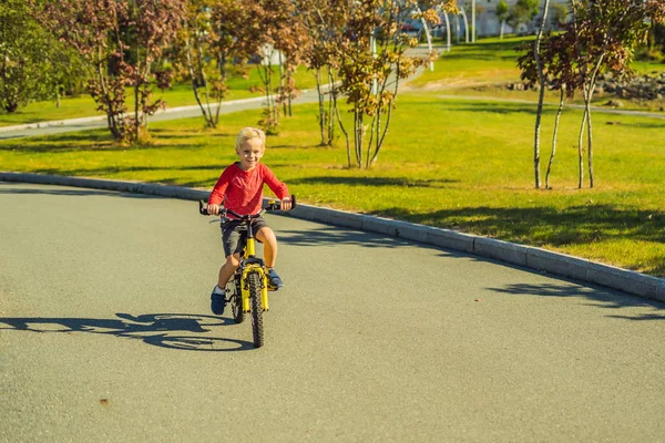 Ευτυχισμένο Παιδί Αγόρι Ετών Έχοντας Διασκέδαση Στο Πάρκο Ποδήλατο Στην — Φωτογραφία Αρχείου