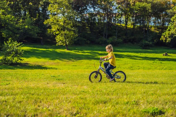 Счастливый Мальчик Лет Развлекается Парке Велосипедом Прекрасный День — стоковое фото