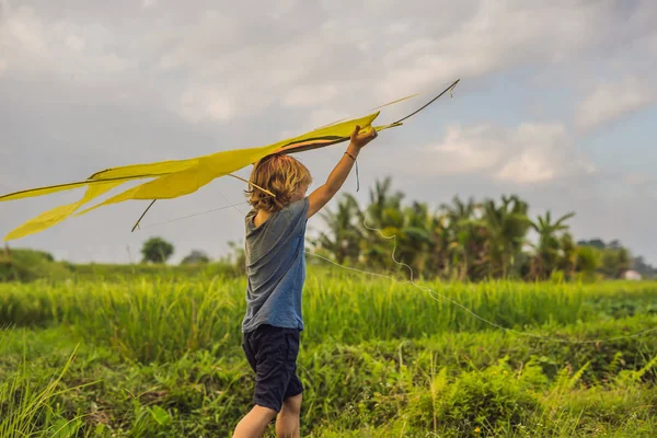 少年は インドネシア バリ島ウブドの田んぼでカイトをランチングします — ストック写真