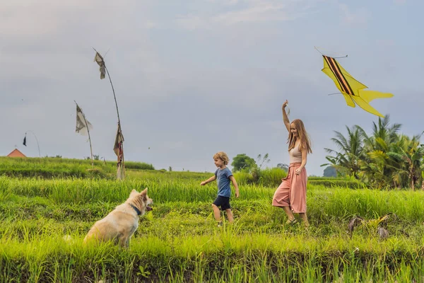 ママと息子はインドネシア バリ島ウブドの田んぼでカイトをランチングします — ストック写真
