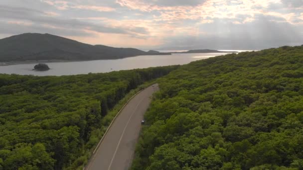 Luchtfoto shot - drone beweegt boven weg en bos met een zee in de buurt — Stockvideo