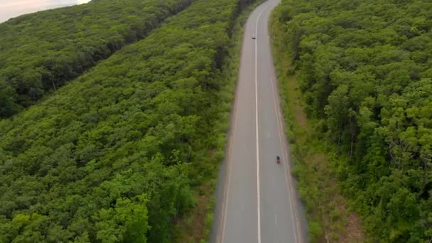 Повітряний постріл - безпілотник рухається над дорогою і лісом з морем поруч — стокове відео
