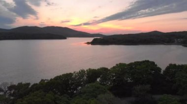 Ağaçlar ve deniz Günbatımı ile seaguls sırasında defne üzerinde casus uçak hava atış - hamle