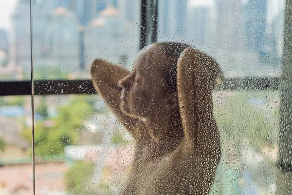 Mooie vrouw in de douche achter glas met druppels op de achtergrond van een venster met een panoramisch uitzicht over de stad — Stockfoto