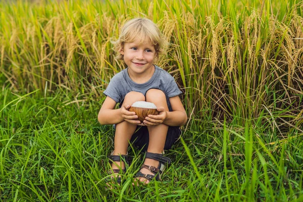 El niño sostiene una taza de arroz hervido en una taza de madera sobre el fondo de un campo de arroz maduro. Concepto de comida para niños — Foto de Stock