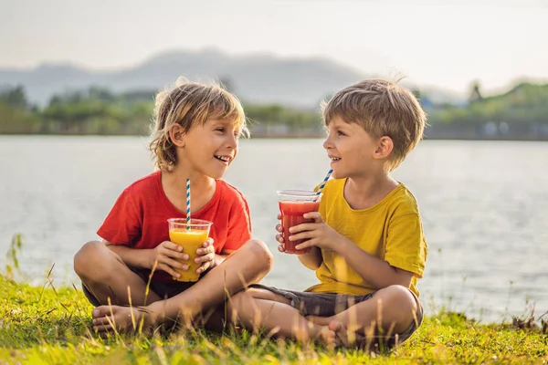 Δύο αγόρια πίνουν υγιεινά smoothies με φόντο τους φοίνικες. Σμούθι μάνγκο και καρπούζι. Υγιεινή διατροφή και βιταμίνες για παιδιά — Φωτογραφία Αρχείου