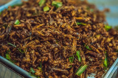 Kızarmış böcekler, böcekler sokak gıda Tayland kızarmış