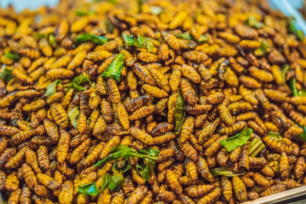 Insetos fritos, insetos fritos em comida de rua na Tailândia — Fotografia de Stock
