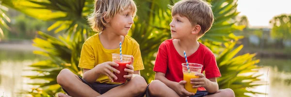 Dos niños beben batidos saludables contra el telón de fondo de palmeras. Batidos de mango y sandía. Nutrición saludable y vitaminas para niños BANNER, FORMATO LARGO — Foto de Stock