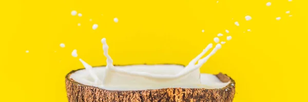 Coconut fruit and milk splash inside it on yellow background BANNER, LONG FORMAT