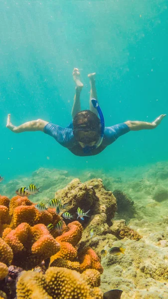 Молодий туристичний чоловік купання в бірюзового моря під поверхнею біля коралового рифу з маскою і трубкою для літнього відпочинку вертикальний формат для Instagram мобільні історії або історії розміру. Мобільні шпалери — стокове фото