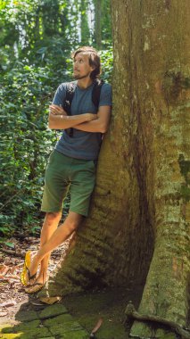 Bir adamın yanında kocaman bir ağaç. Yaşlı bir ağaç, bali kökleri. Bali Adası, kültür, Sanat eşyaları, Endonezya insan dikey biçim Instagram mobil hikaye veya hikayeler boyutuna seyahat hedef. Cep