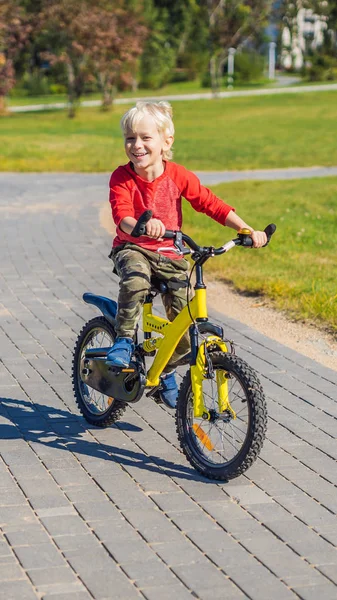 Šťastné dítě chlapec 5 let baví v parku s kolo na krásný den vertikální formát pro Instagram mobilní příběh nebo příběhy velikosti. Mobilní tapety — Stock fotografie