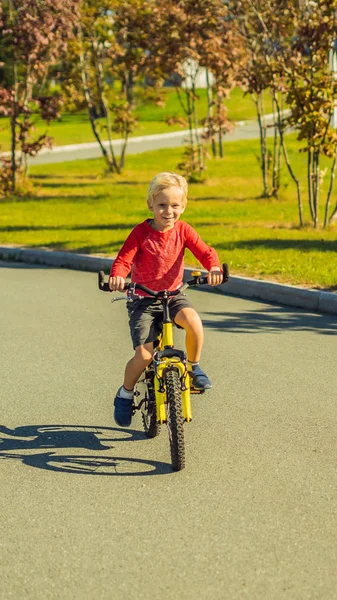 Joyeux garçon de 5 ans qui s'amuse dans le parc avec un vélo lors d'une belle journée FORMAT VERTICAL pour Instagram histoire mobile ou la taille des histoires. Papier peint mobile — Photo