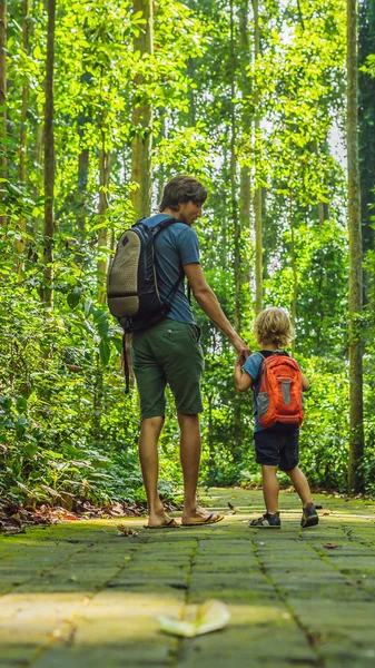 Táta a syn cestovatelé objevování lesa Ubud v Monkey forest, Bali Indonésie. Cestování s dětmi konceptem vertikální formát na Instagramu mobilní příběh nebo příběhy. Mobilní tapety — Stock fotografie