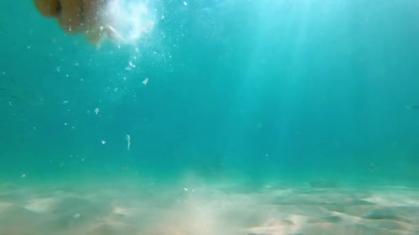 4k Disparo en cámara lenta de una mano de una persona que alimenta a peces tropicales en un mar — Vídeos de Stock