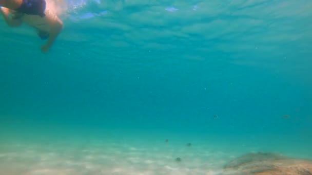 4 k Slowmotion lövés a fiatal kaukázusi ember snorkeling a maszkot, és a légzés csövet egy gyönyörű tenger rengeteg trópusi halak — Stock videók