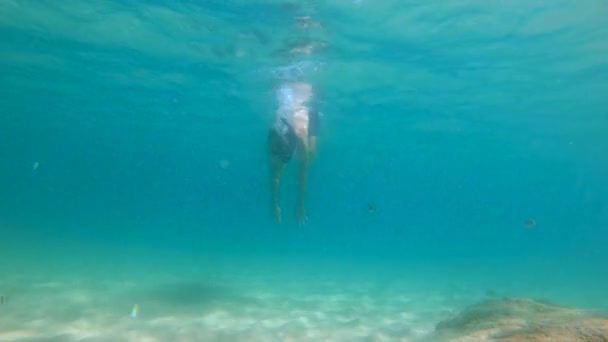 4 k Slowmotion schot van jonge blanke man snorkelen in een masker en ademhaling buis een een prachtige zee met veel tropische vissen — Stockvideo
