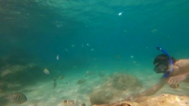 4 k Slowmotion çekim genç beyaz adam bir maske şnorkel ve tüp nefes bir tropikal balıklar dolu güzel bir deniz