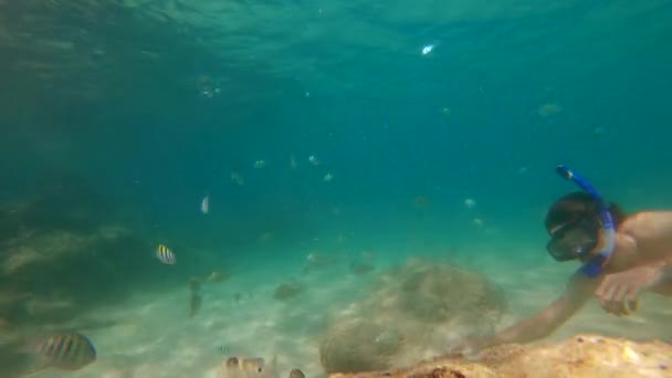 4k Lenta toma de hombre joven caucásico snorkel en una máscara y tubo de respiración en un hermoso mar con un montón de peces tropicales — Vídeo de stock