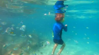 4 k Slowmotion atış bir maske şnorkel ve tüp nefes küçük bir çocuk yayınları tropikal balıklar güzel bir denizde