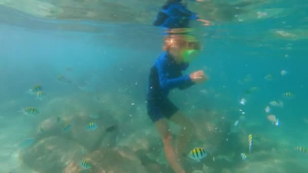 4 k Slowmotion schot van een kleine jongen snorkelen in een masker en ademhaling buis feeds tropische vissen in een prachtige zee — Stockvideo
