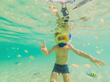 Sualtı doğa çalışması, açık mavi denizde çocuk şnorkelli yüzme