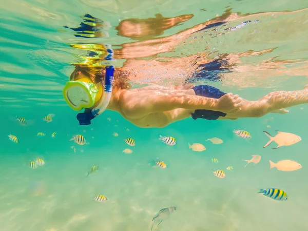 Studium pod vodou, chlapec se šnorchlováním v průzračně modrém moři — Stock fotografie