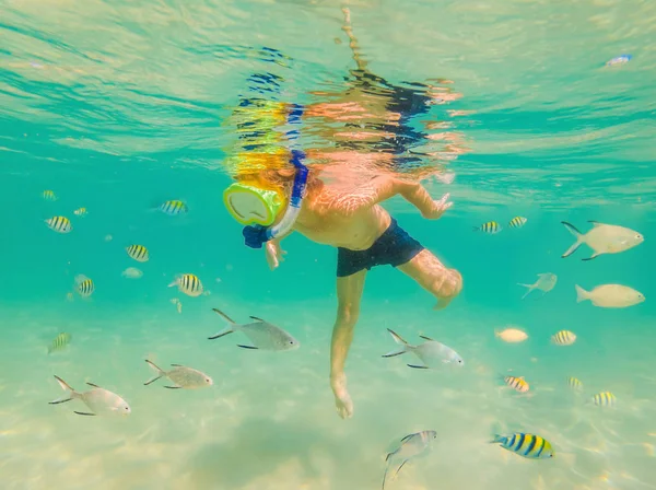 Undervattens natur studie, pojke snorkling i klarblå havet — Stockfoto