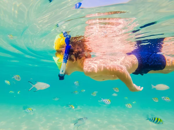 Undervattens natur studie, pojke snorkling i klarblå havet — Stockfoto