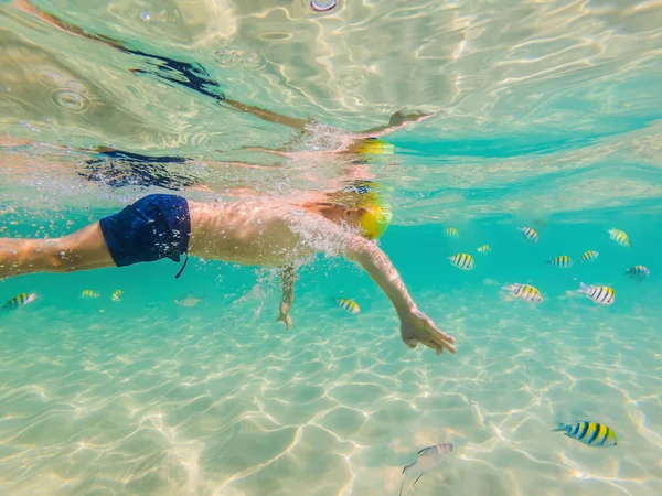 Étude de la nature sous-marine, plongée en apnée garçon dans la mer bleue claire — Photo